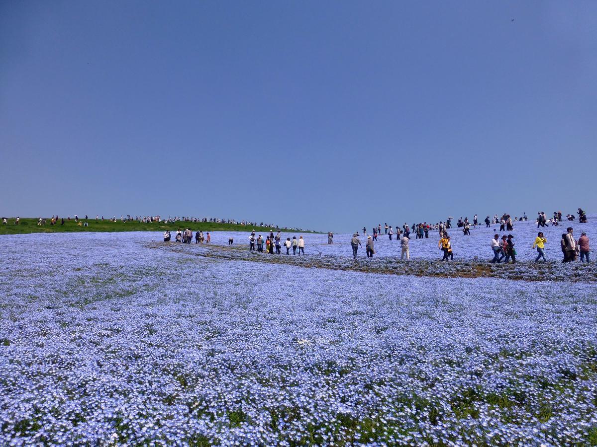 Yusenso Otel Mito  Dış mekan fotoğraf